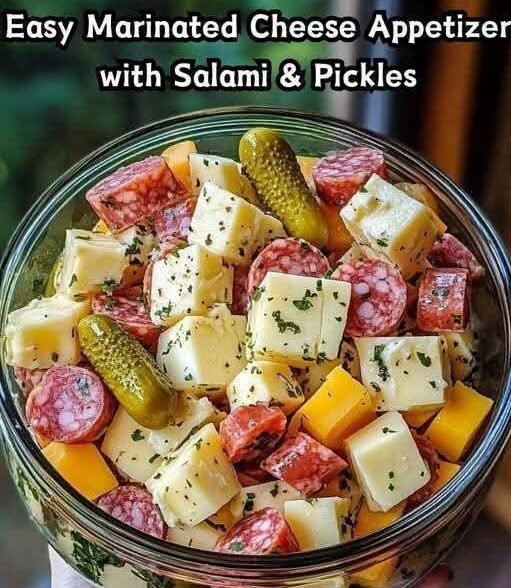 Easy Marinated Cheese Appetizer with Salami & Pickles!