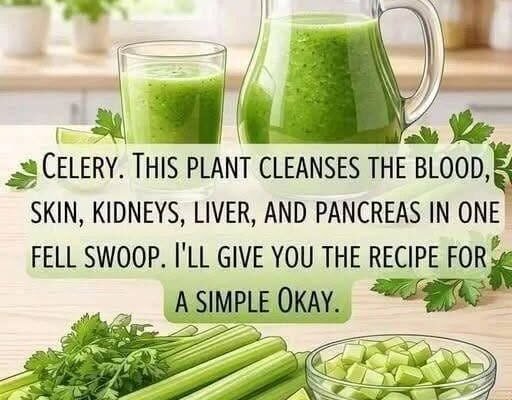 Celery Juice Recipe: A Fresh, Simple Green Drink for Your Morning Routine