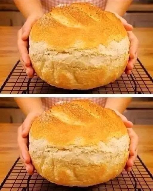 Homemade Crusty Bread Recipe