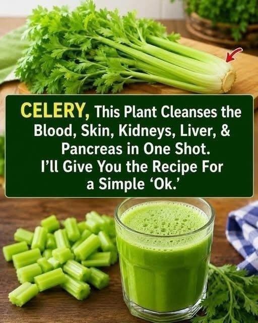 Fresh Celery Juice Recipe